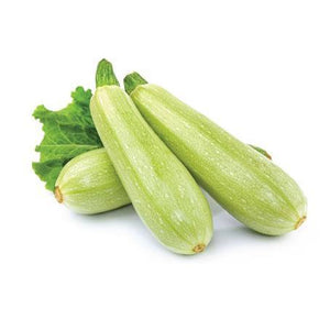 COURGETTE - كوغجيت